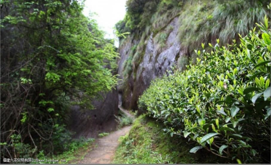 ����ɽɽ���ص�