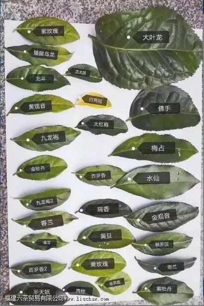 �����Ҳ��ж�������