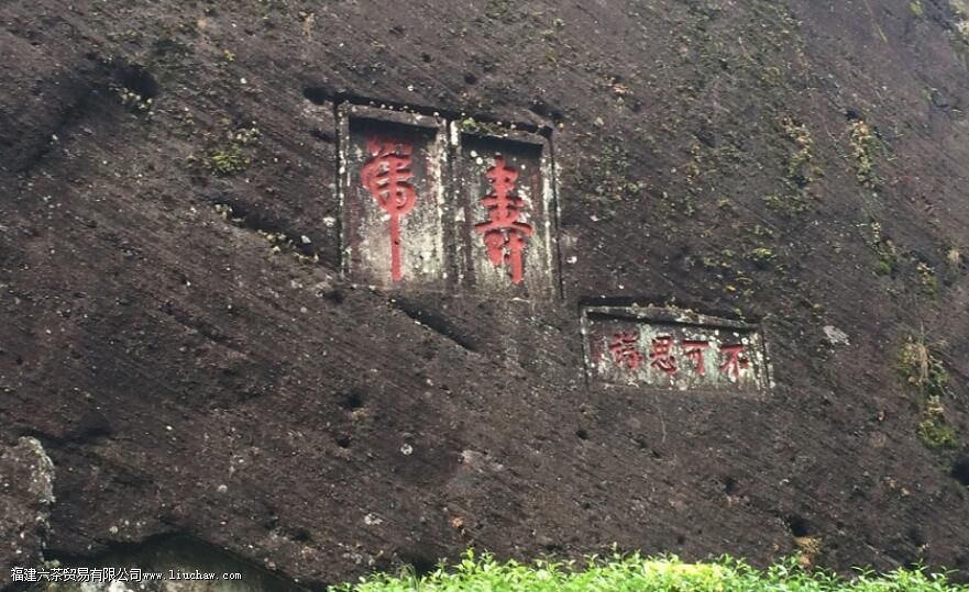 武夷岩茶有哪些种类,如何简单分辨 武夷岩茶有哪些种类,如何简单分辨