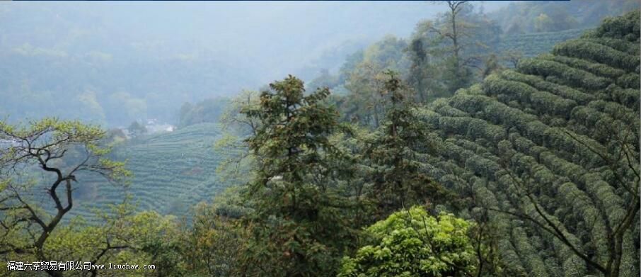 ����������԰��Ҫ�ֲ����ص�