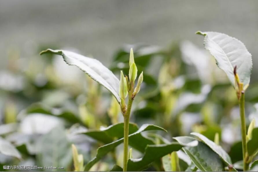 ��������������ô�к�