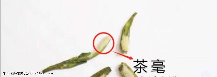 ��������������ô�к�