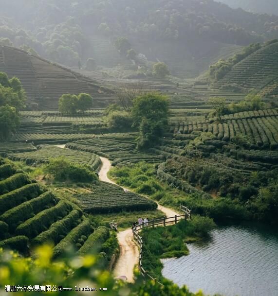 ������������ʲô����