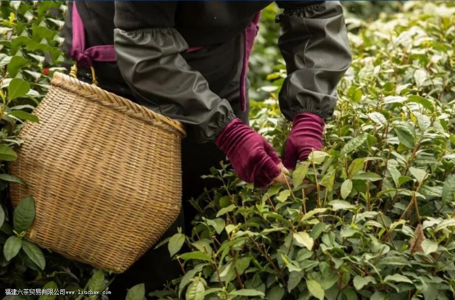 ������������ʲô����