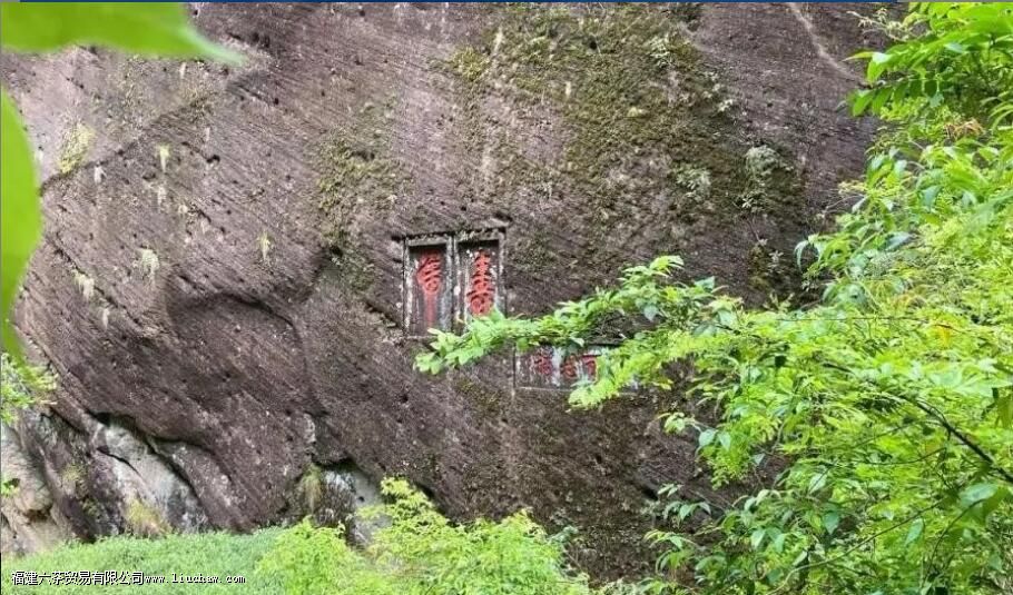 Ϫ�����㲻��˼��˵����ʲô