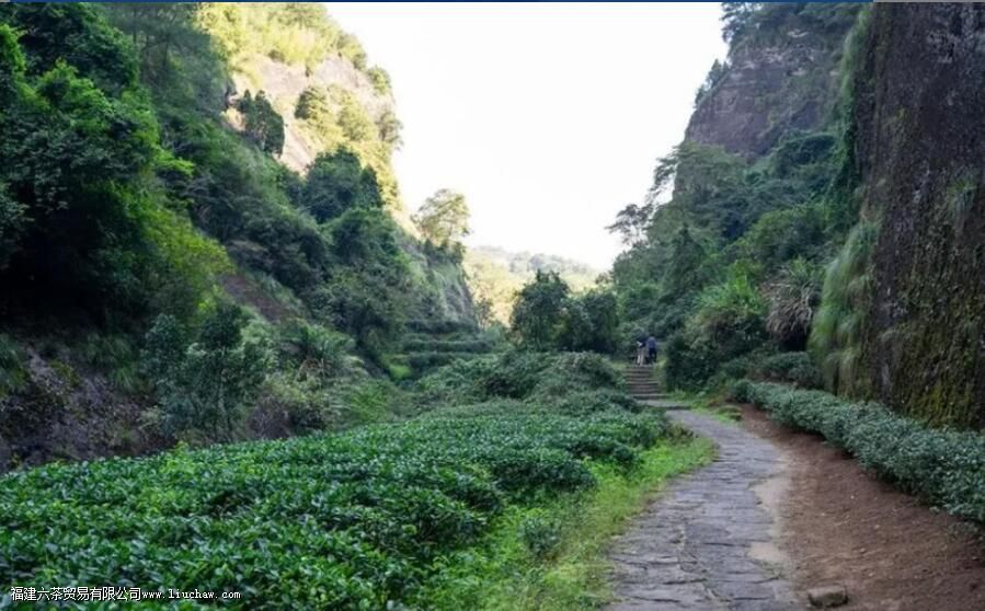 Ϫ�����㲻��˼��˵����ʲô