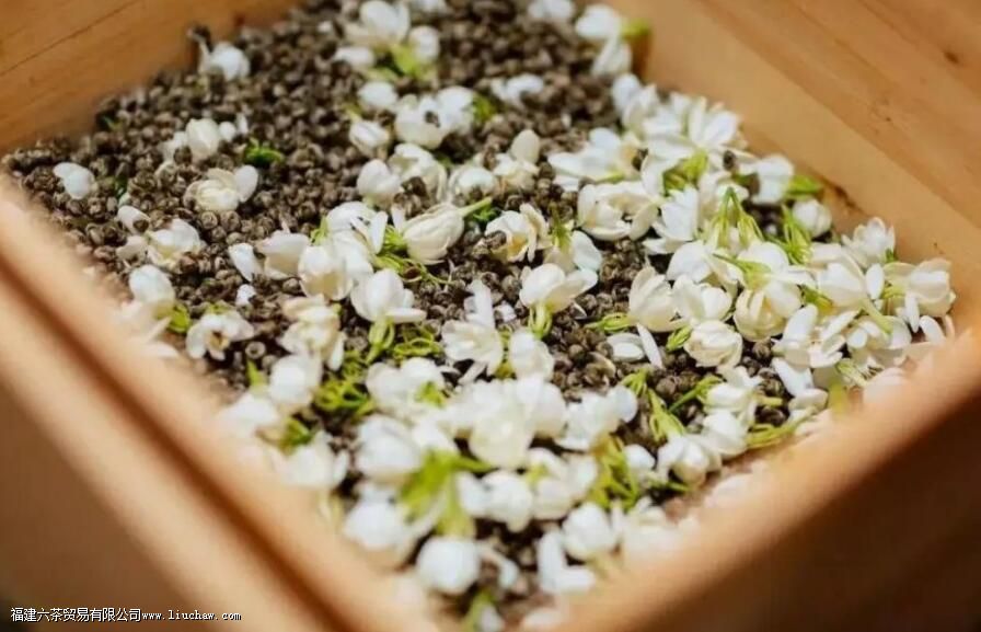 �����ʲô��Ůʿ