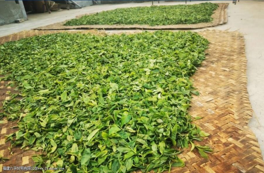 �ʲ�Ҷɱ����Ҫ���յ�Ҫ������Щ