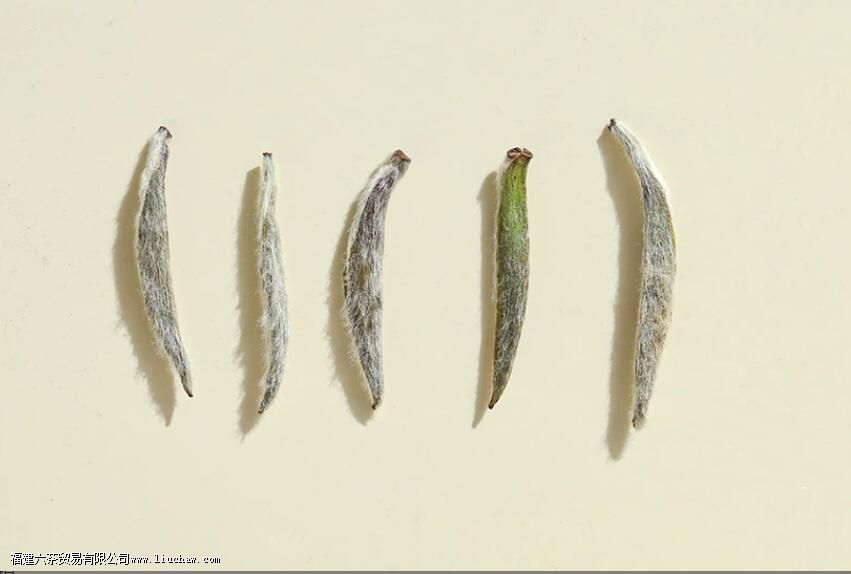 香气比较突出的六款茶叶,你都喝过吗 香气比较突出的六款茶叶,你都喝过吗