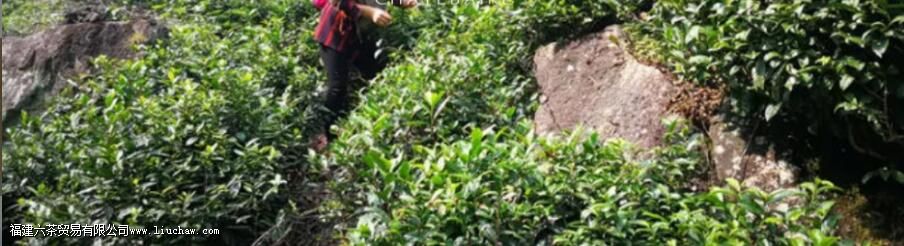 ����Ұ���裬��ʲô����