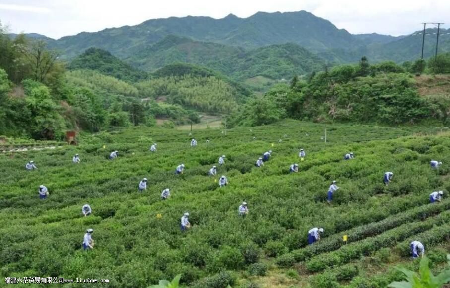 С��������ʲô��