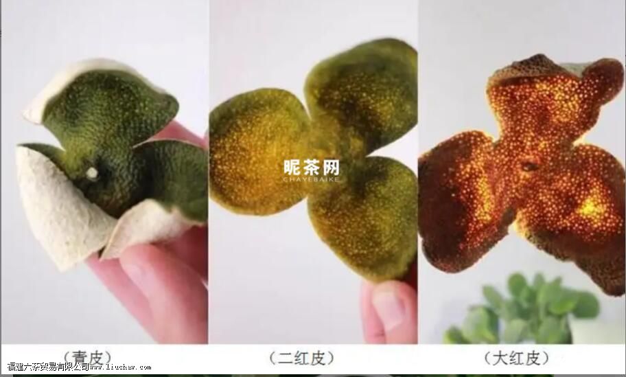 С��̵���Ƥ��������Ƥ����