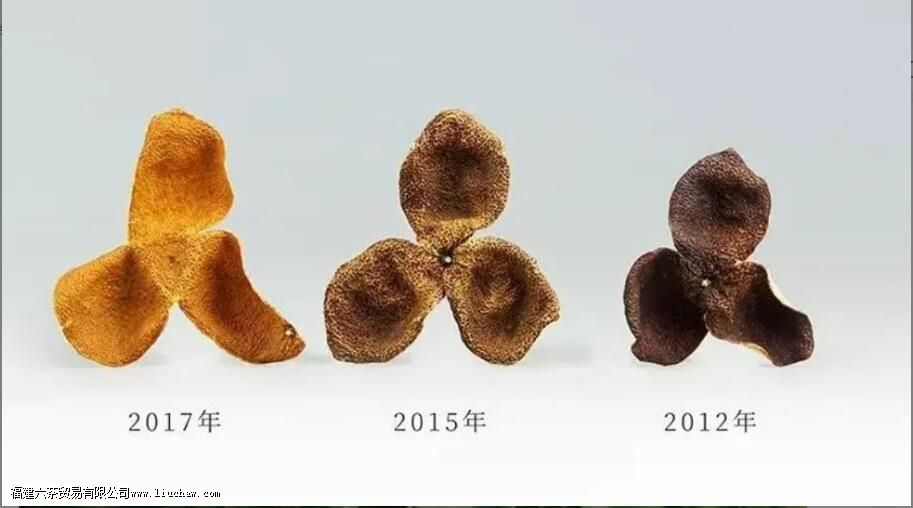 С��̵���Ƥ��������Ƥ����