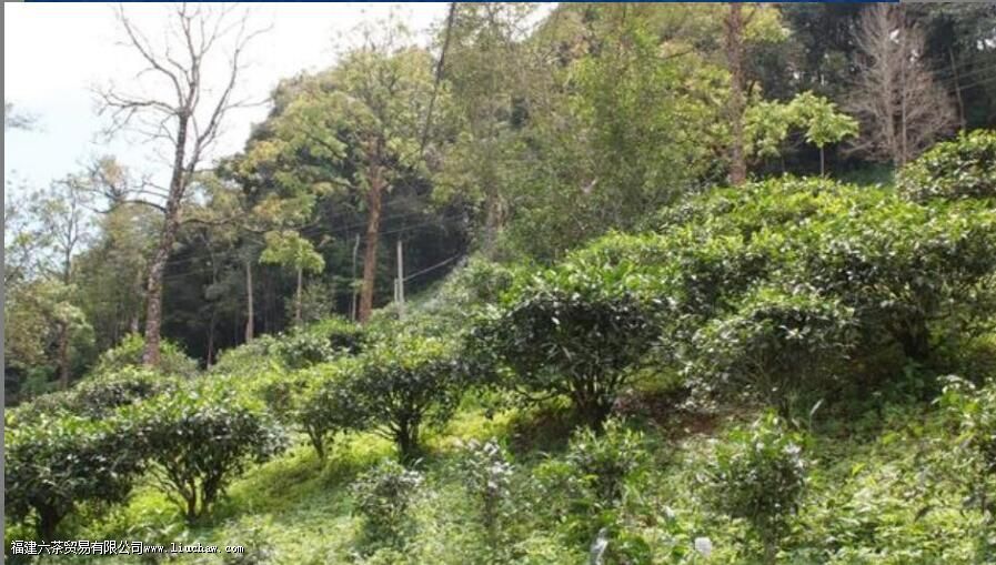 С������̨�ز裬�����к�����