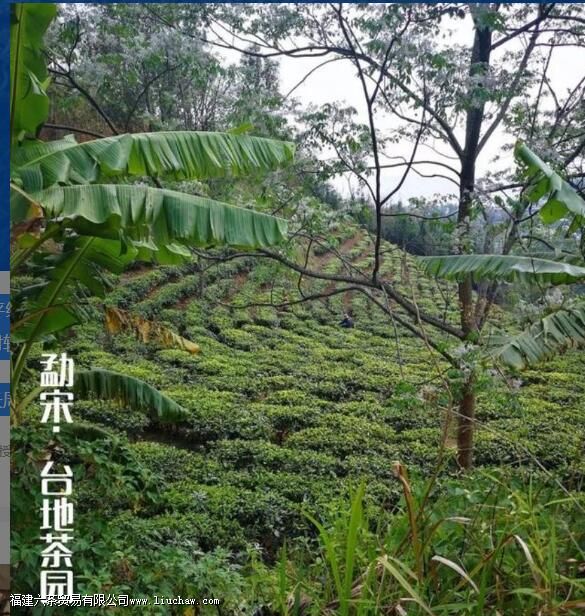 С������̨�ز裬�����к�����