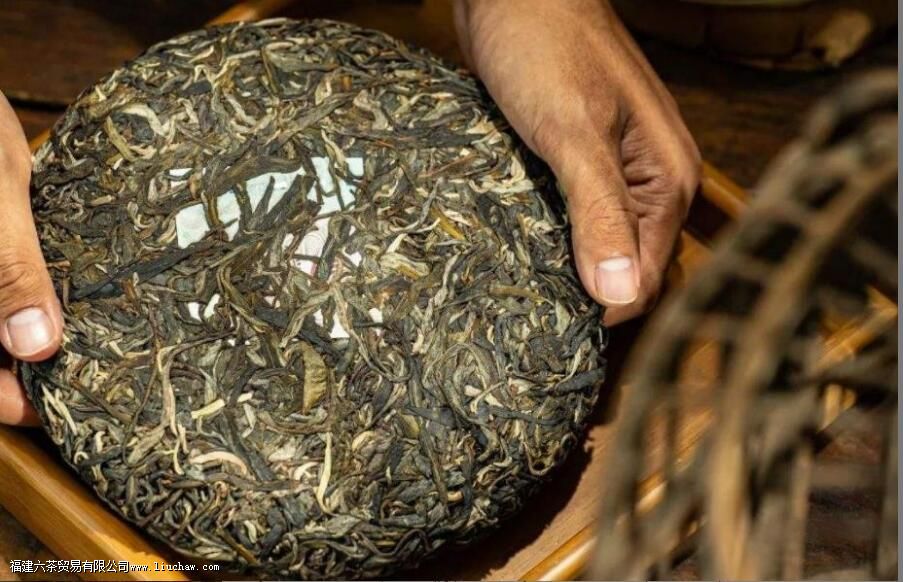 新班章普洱茶有哪些特点 新班章普洱茶有哪些特点