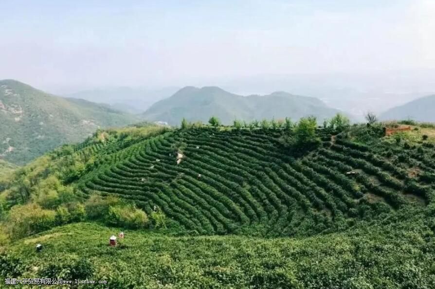 ����ë������ʲô��