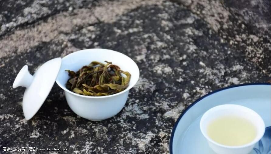 ѩƬ��ʲô����ʲô�ص�