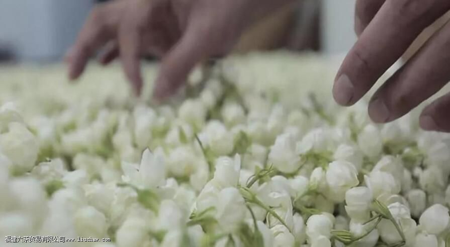 窨制茶叶是什么意思 窨制茶叶是什么意思