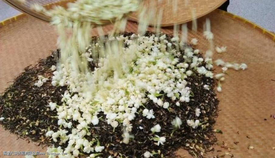 窨制茶叶是什么意思 窨制茶叶是什么意思