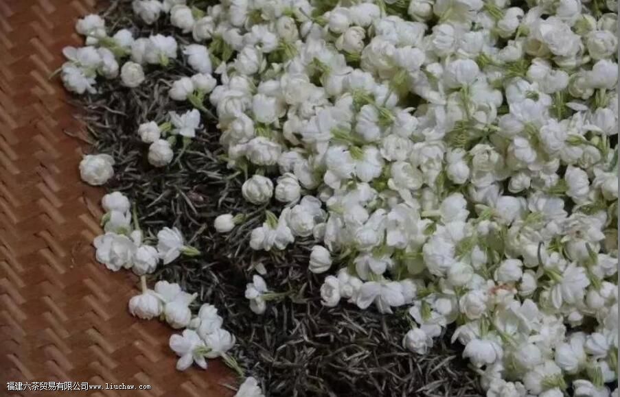 窨制茶叶是什么意思 窨制茶叶是什么意思