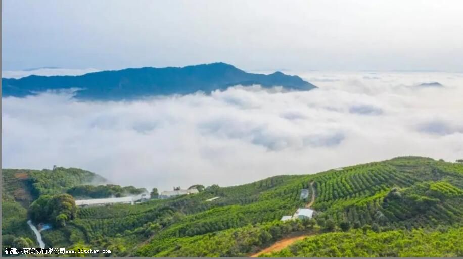 Ѽʺ�㵥�Բ���ص���ʲô