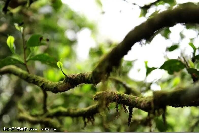 Ѽʺ�㵥�Բ���ص���ʲô