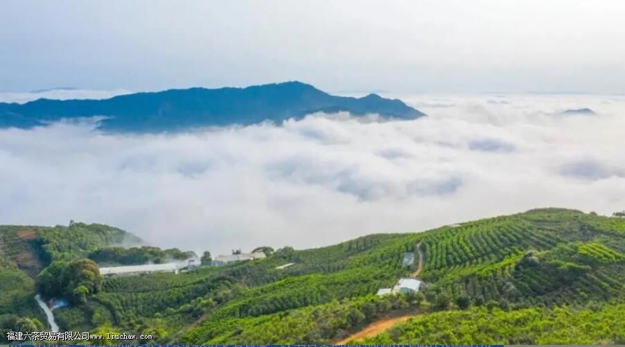 Ѽʺ����ʲô�� Ѽʺ���Ʒ���ص�����