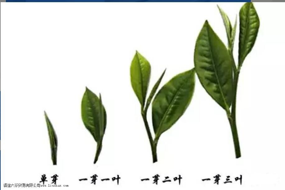 ѿ����ʲô��˼