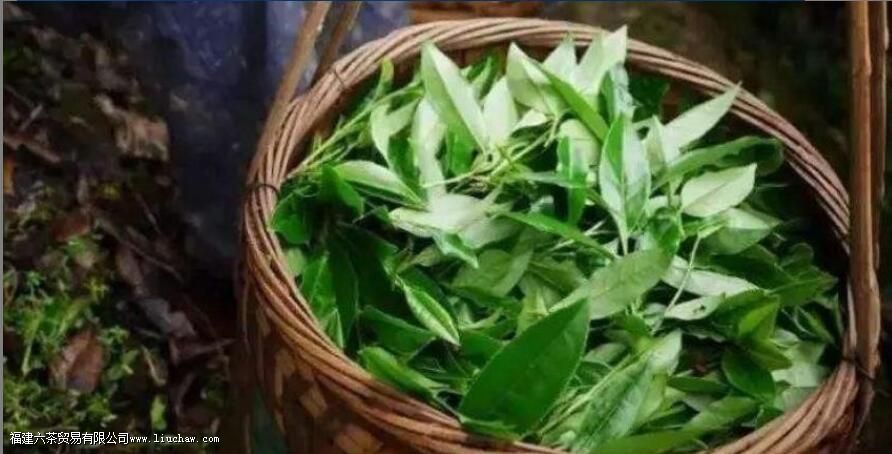 �Ҳ�ļӹ����ս���