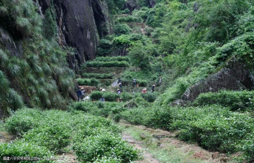 �Ҳ��������ʲô��˼