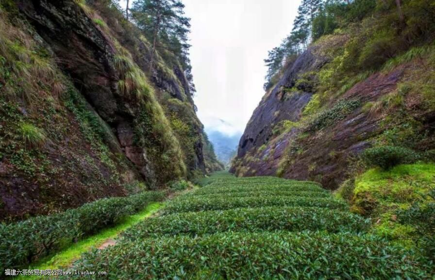 �Ҳ��������ʲô��˼