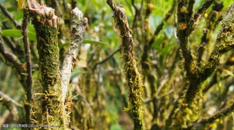 �Ҳ��������ʲô��˼