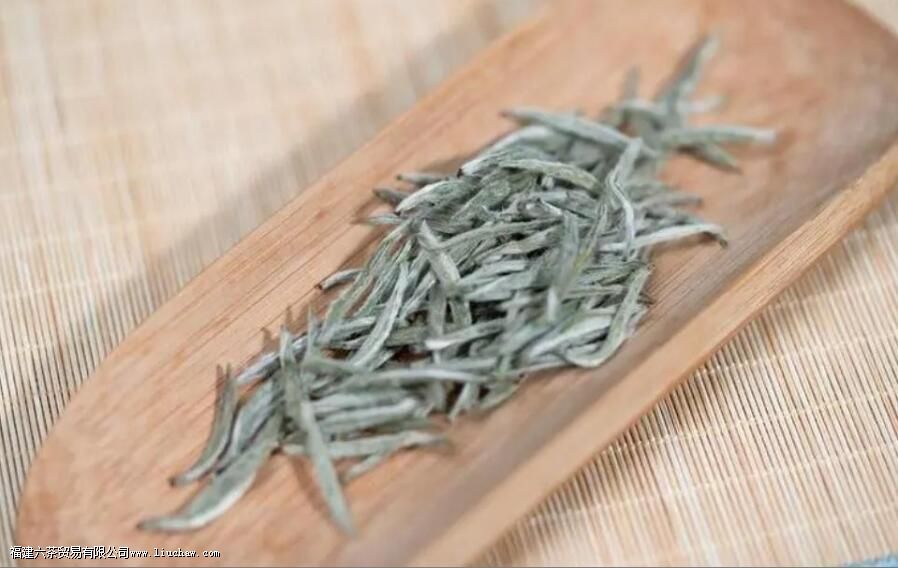 一斤白毫银针多少颗芽头 一斤白毫银针多少颗芽头