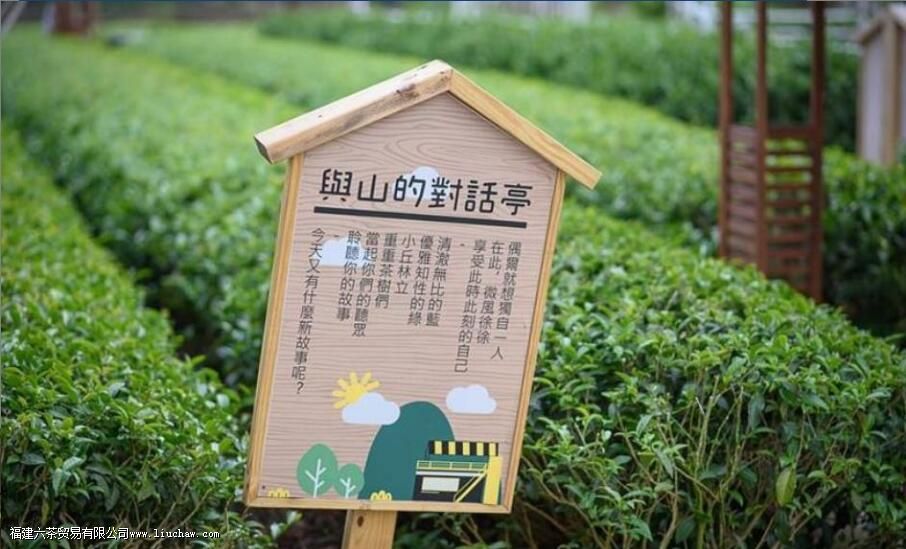 一年四季乌龙茶是什么茶 一年四季乌龙茶是什么茶