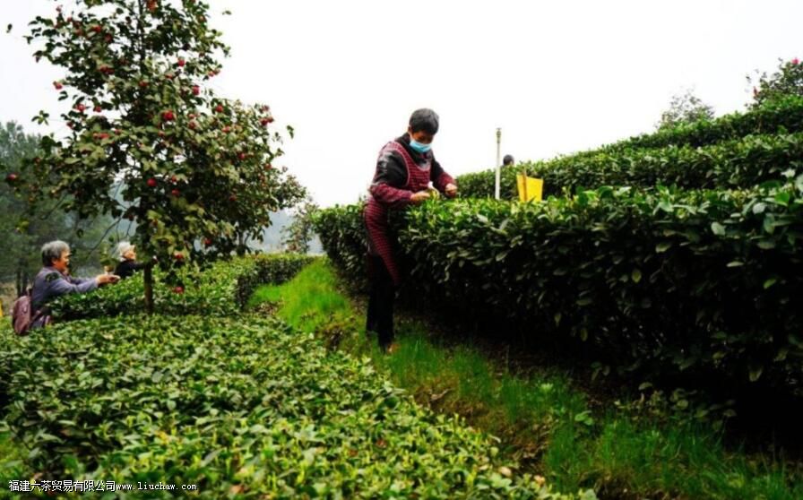 �˱���׼���ʲô��