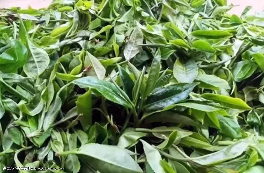 ��������ɽ�ն�����ص�