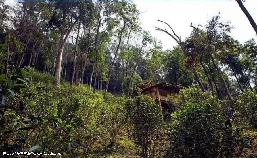 �����乭��������ص�