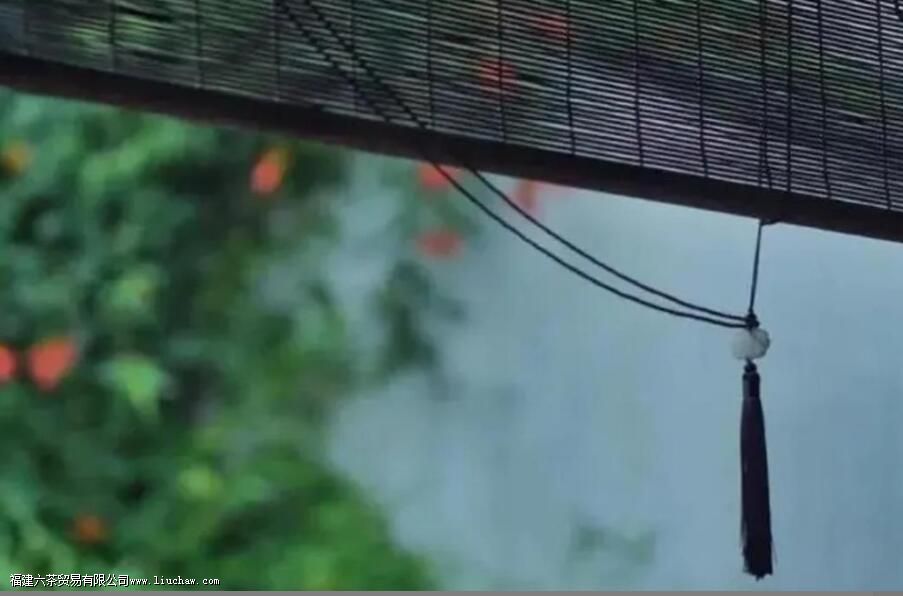 阴天和晴天哪个适合喝茶 阴天和晴天哪个适合喝茶