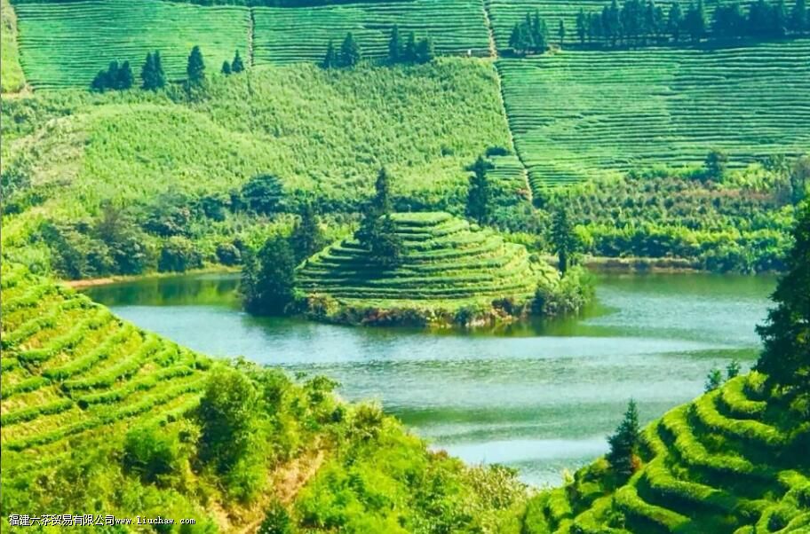 �л������ͨ��Ҷ��������ʲô