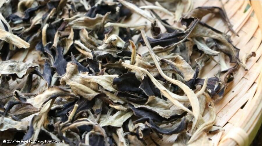 月光白茶工艺制作过程 月光白茶工艺制作过程