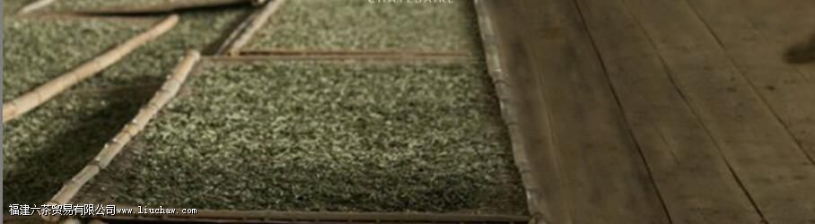 月光白茶工艺制作过程 月光白茶工艺制作过程