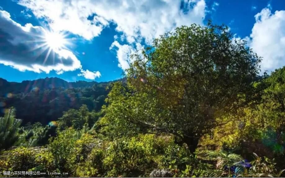 �¹�����ڰײ軹���ն���