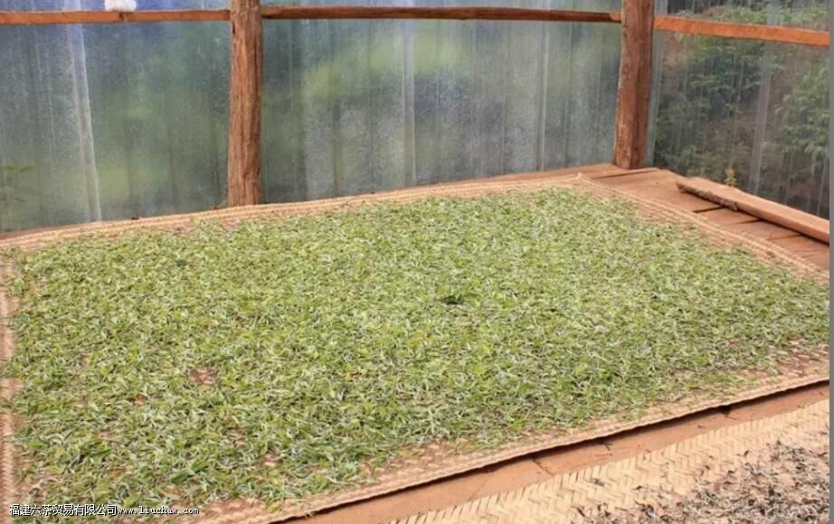 �¹�����ڰײ軹���ն���