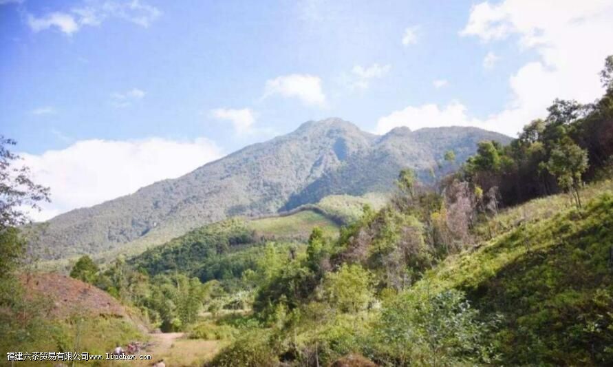 �¹������ʲô����