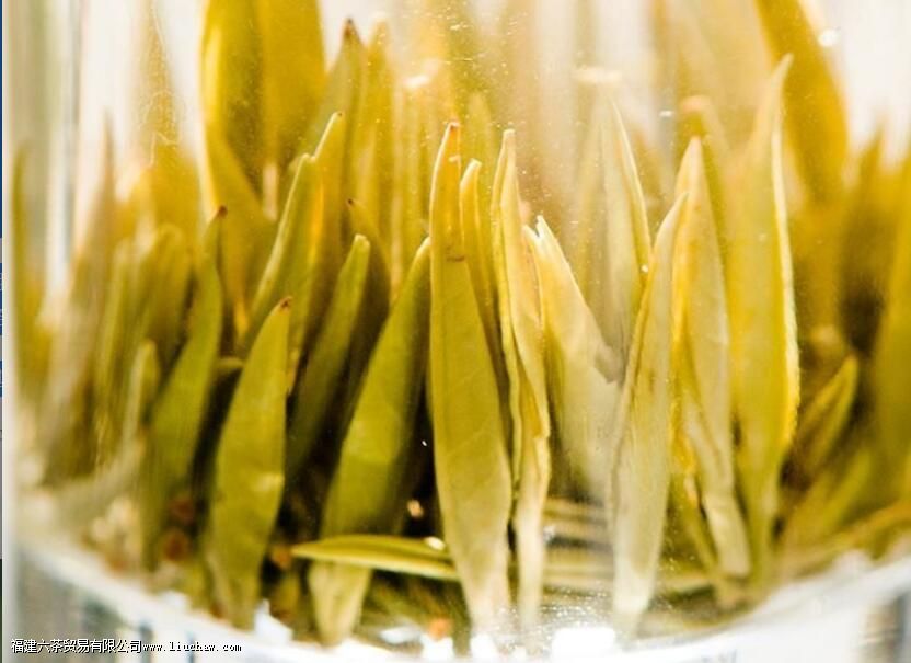 岳阳黄茶是什么茶 岳阳黄茶是什么茶