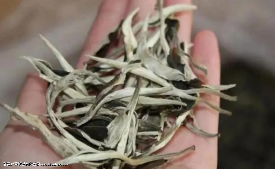 云南白茶的特点 云南白茶的特点