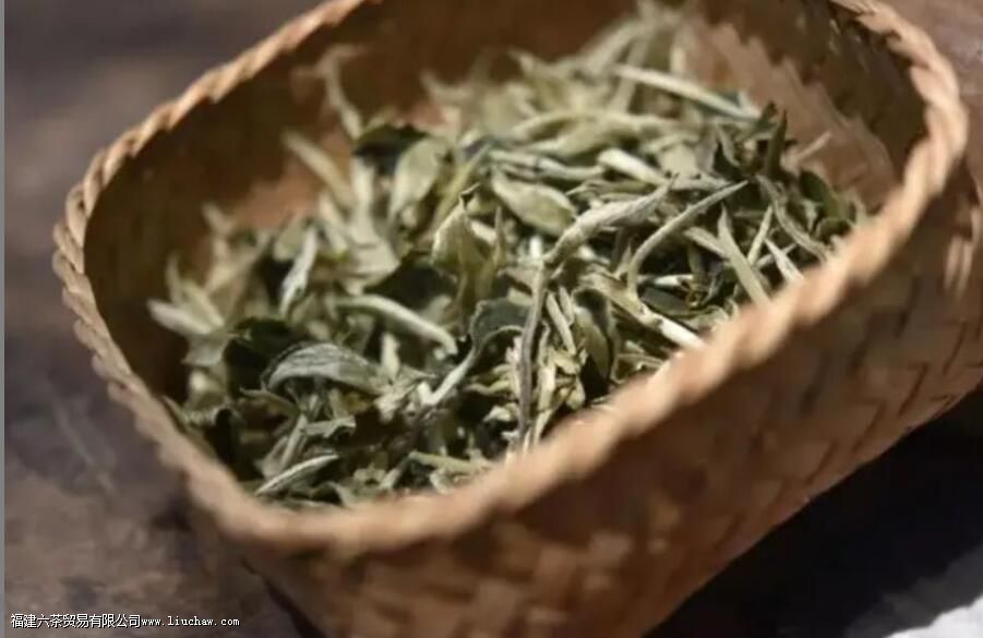云南白茶的特点 云南白茶的特点