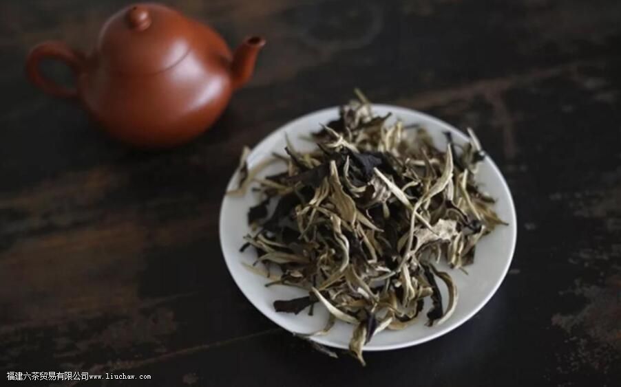 ���ϰײ�͸����ײ���ʲô����