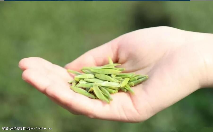 ���ϰײ�͸����ײ���ʲô����